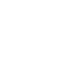 cn-2020-smartzone-icon1.png