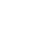 cn-2020-smartzone-icon1.png