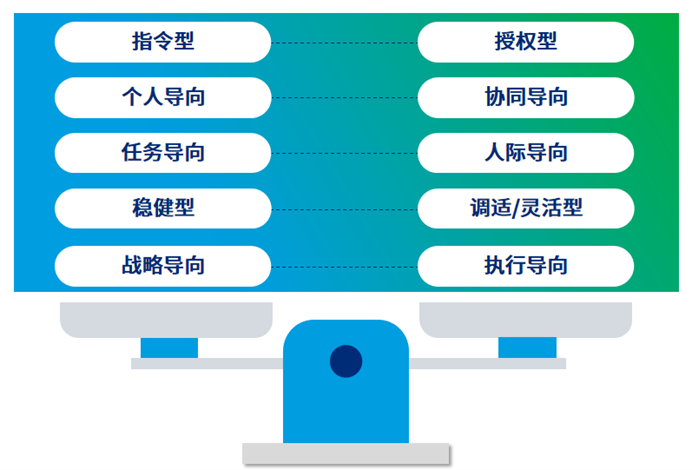 领导力悖论 (Leadership Paradox)
