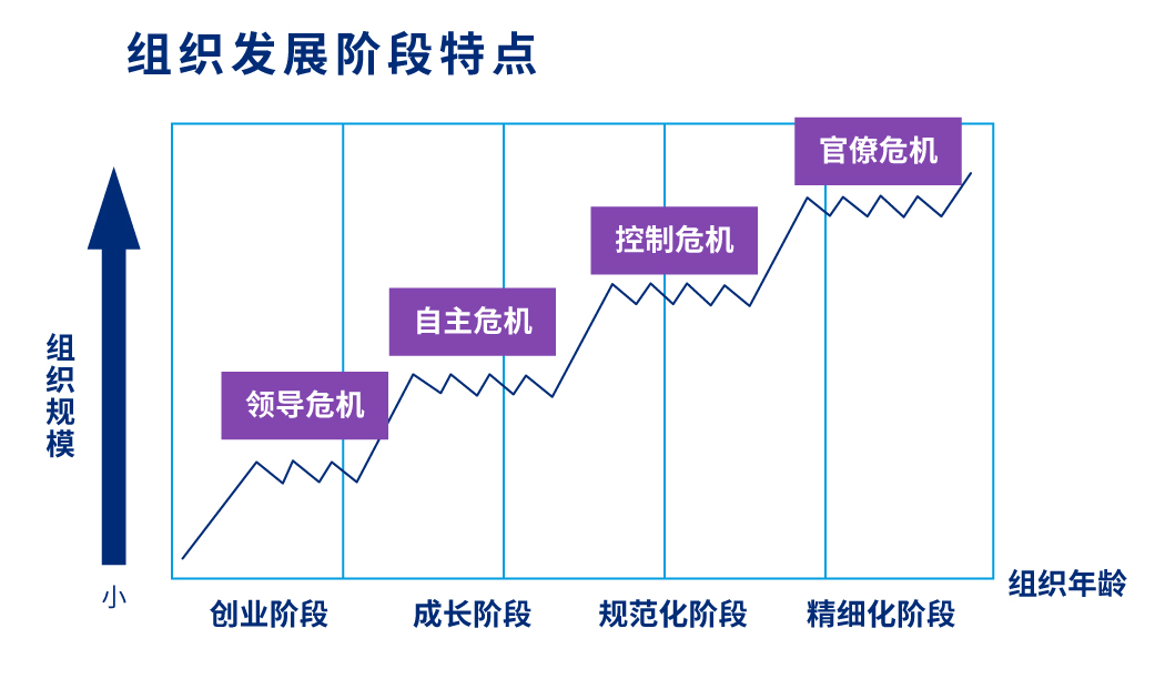 组织发展阶段特点