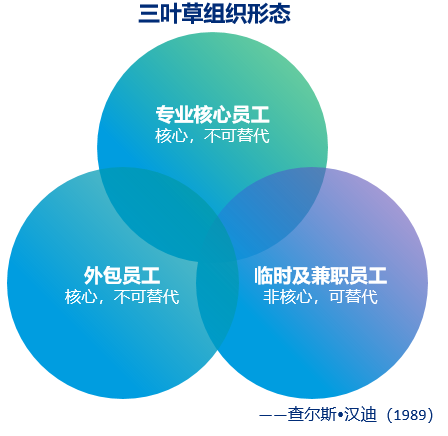 三叶草组织形态