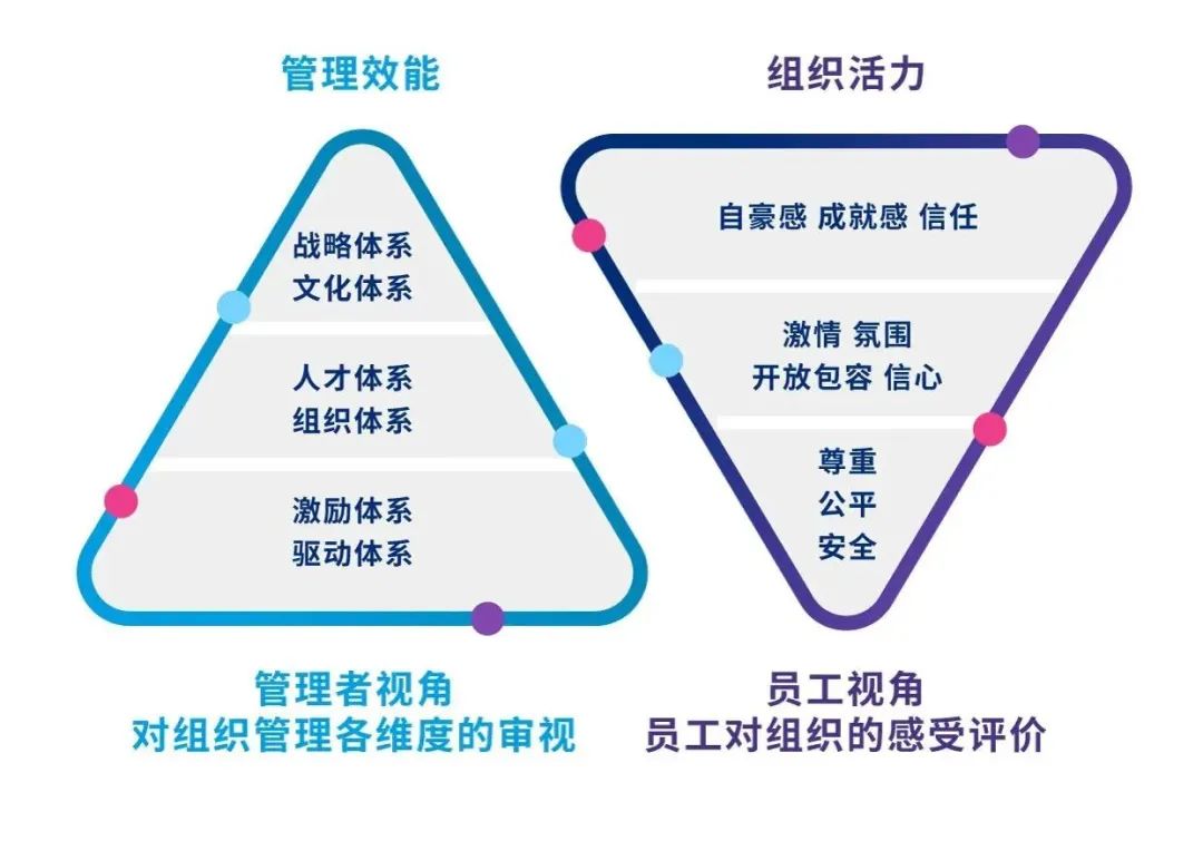 （*图片来源：美世内部案例资料）