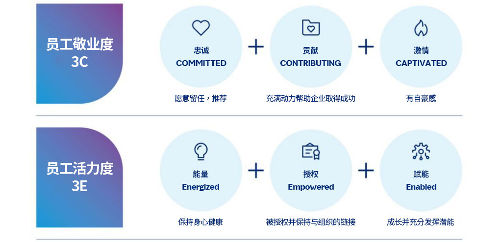 3C员工敬业度与3E员工活力度指标