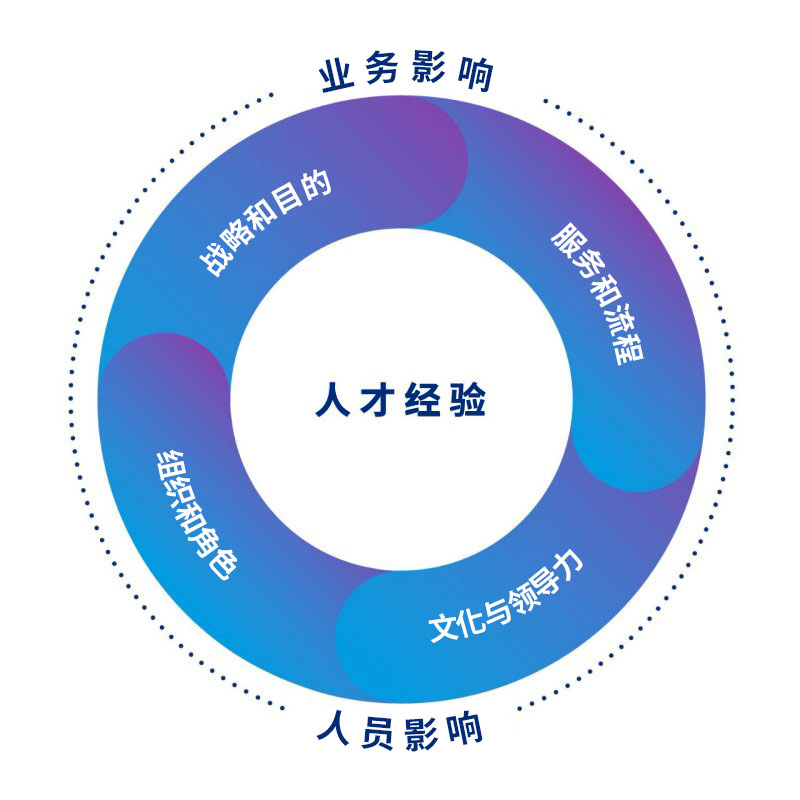 显示对业务和人员都有影响的人才经验的关联领域的圆形图片。四个领域是战略和目的，服务和流程，文化和领导力，以及组织和角色。
